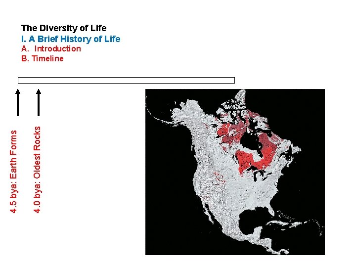 The Diversity of Life I. A Brief History of Life 4. 0 bya: Oldest