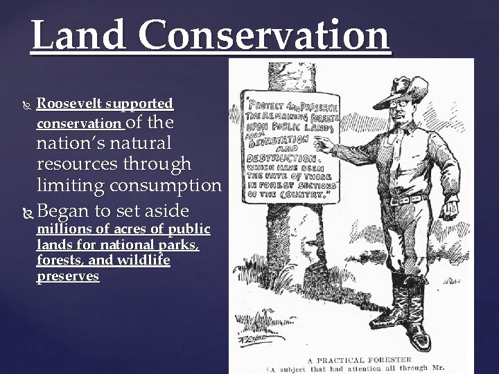 Land Conservation Roosevelt supported conservation of the nation’s natural resources through limiting consumption Began