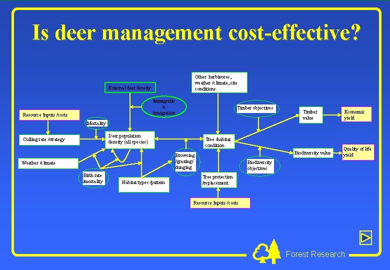 Is deer management cost-effective? Other herbivores, weather /climate, site conditions. External deer density Immigratio