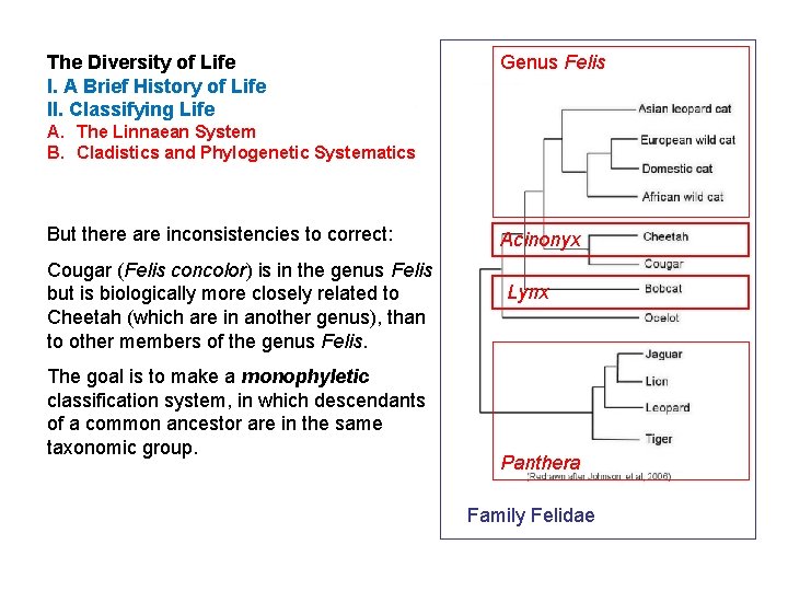 The Diversity of Life I. A Brief History of Life II. Classifying Life Genus