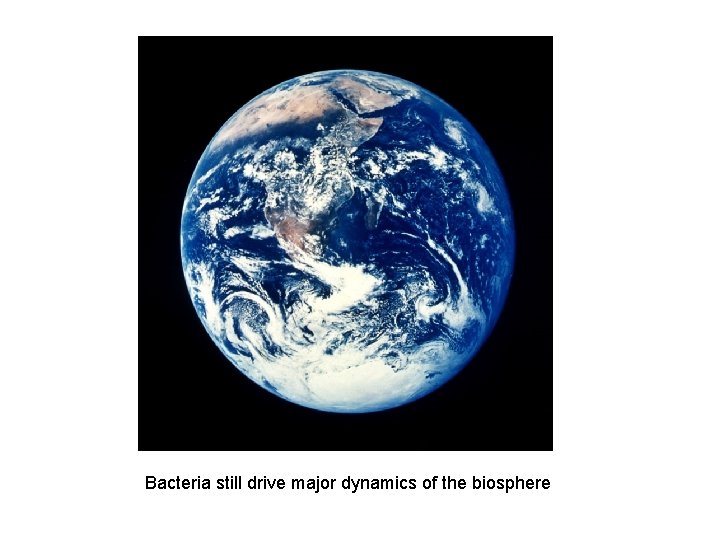 Bacteria still drive major dynamics of the biosphere 