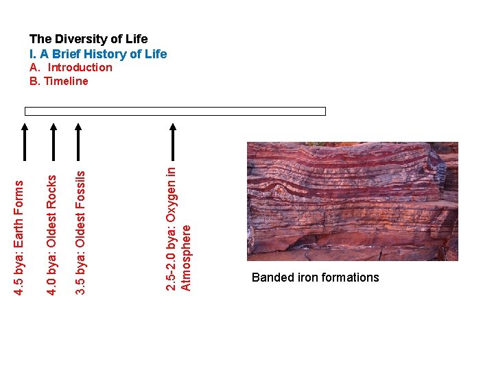 2. 5 -2. 0 bya: Oxygen in Atmosphere 3. 5 bya: Oldest Fossils 4.