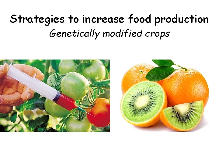 Strategies to increase food production Genetically modified crops 