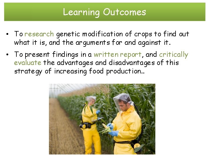 Learning Outcomes • To research genetic modification of crops to find out what it