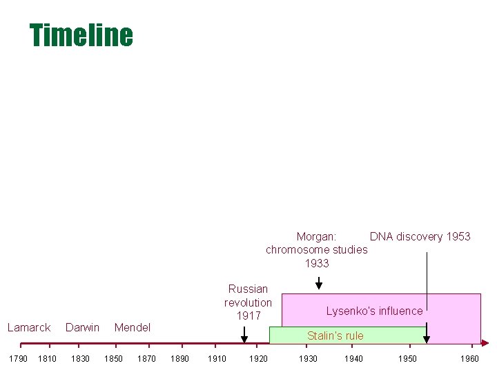 Timeline Morgan: DNA discovery 1953 chromosome studies 1933 Lamarck 1790 1810 Darwin 1830 Russian Timeline Morgan: DNA discovery 1953 chromosome studies 1933 Lamarck 1790 1810 Darwin 1830 Russian