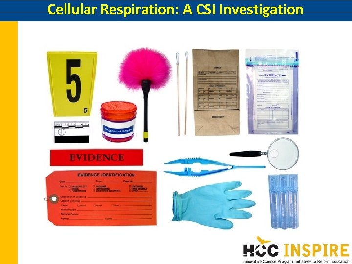 Cellular Respiration: A CSI Investigation Cellular Respiration: A CSI Investigation