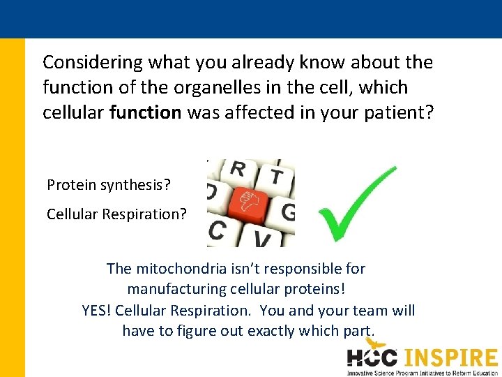 Considering what you already know about the function of the organelles in the cell, Considering what you already know about the function of the organelles in the cell,