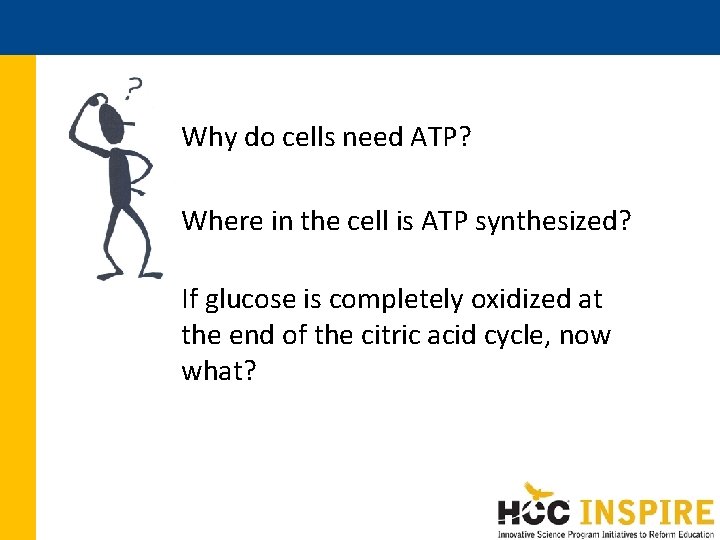 Why do cells need ATP? Where in the cell is ATP synthesized? If glucose Why do cells need ATP? Where in the cell is ATP synthesized? If glucose