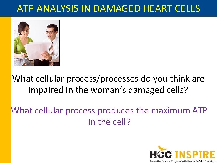 ATP ANALYSIS IN DAMAGED HEART CELLS What cellular process/processes do you think are impaired ATP ANALYSIS IN DAMAGED HEART CELLS What cellular process/processes do you think are impaired