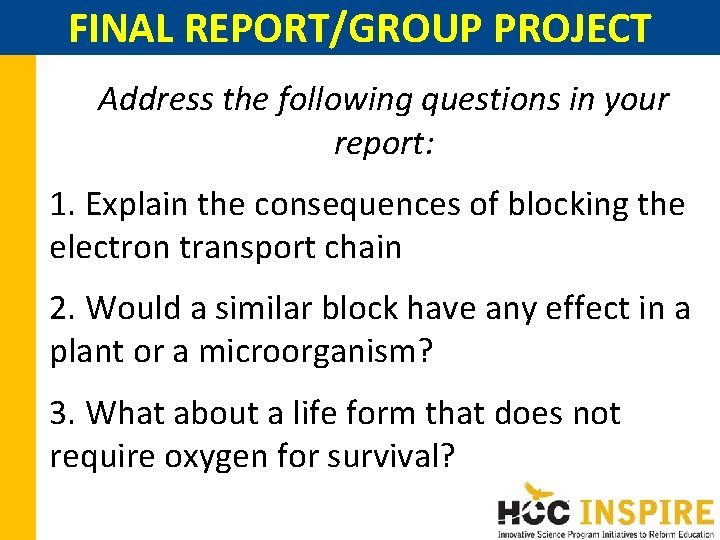FINAL REPORT/GROUP PROJECT Address the following questions in your report: 1. Explain the consequences FINAL REPORT/GROUP PROJECT Address the following questions in your report: 1. Explain the consequences