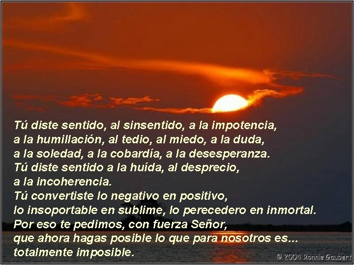 Tú diste sentido, al sinsentido, a la impotencia, a la humillación, al tedio, al