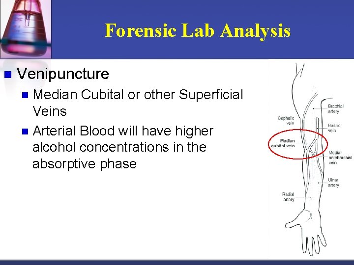 Forensic Lab Analysis n Venipuncture Median Cubital or other Superficial Veins n Arterial Blood