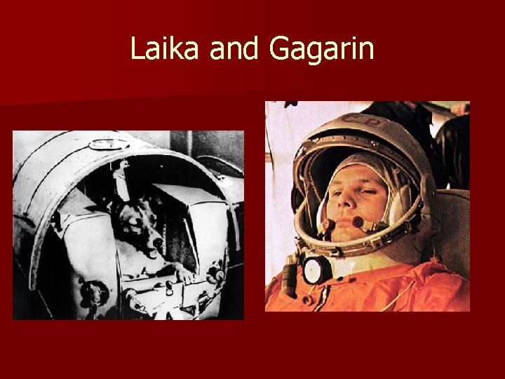 Laika and Gagarin 