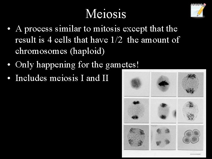 Meiosis • A process similar to mitosis except that the result is 4 cells