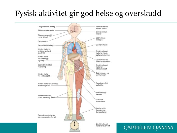 Fysisk aktivitet gir god helse og overskudd 