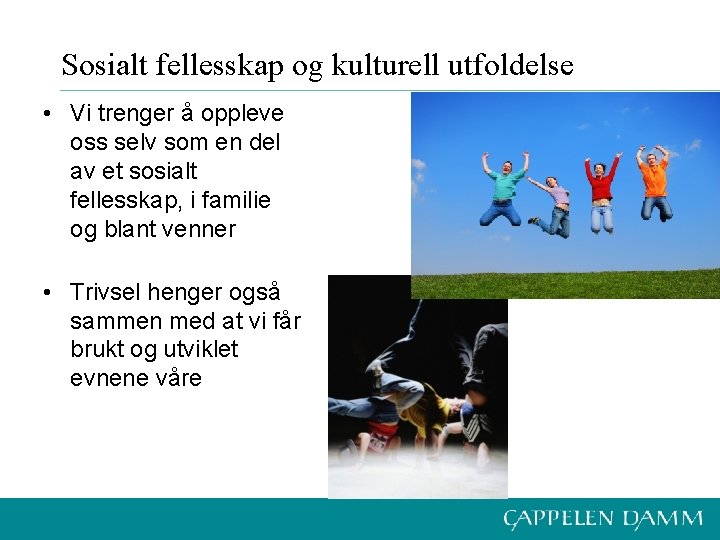 Sosialt fellesskap og kulturell utfoldelse • Vi trenger å oppleve oss selv som en