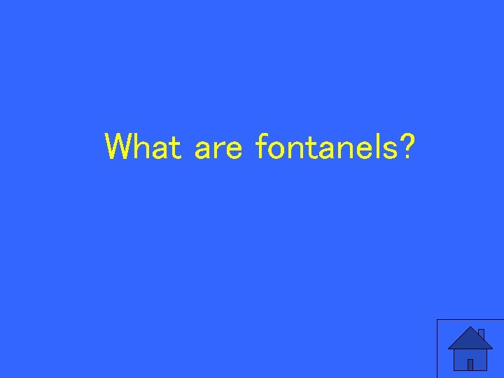 What are fontanels? 105 