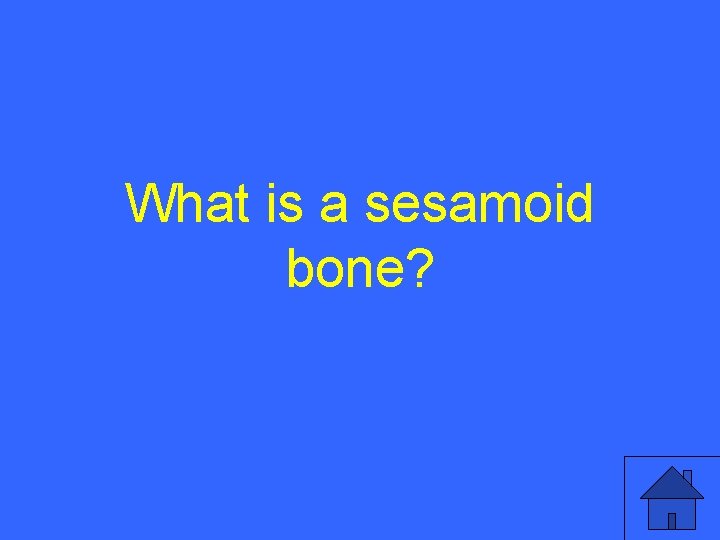 What is a sesamoid bone? 12 