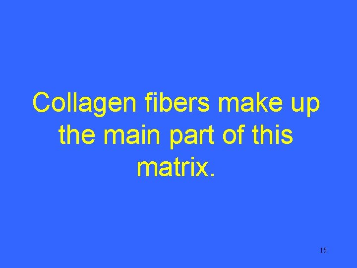 Collagen fibers make up the main part of this matrix. 15 
