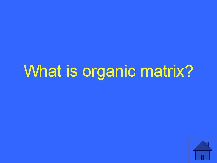 What is organic matrix? 16 