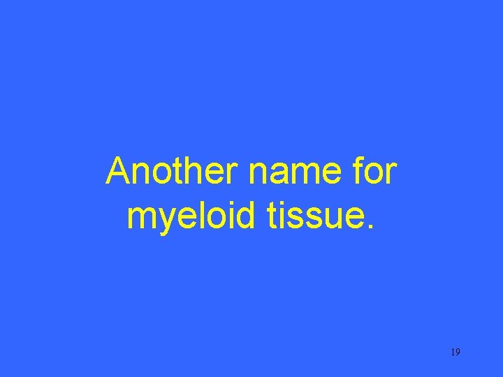 Another name for myeloid tissue. 19 