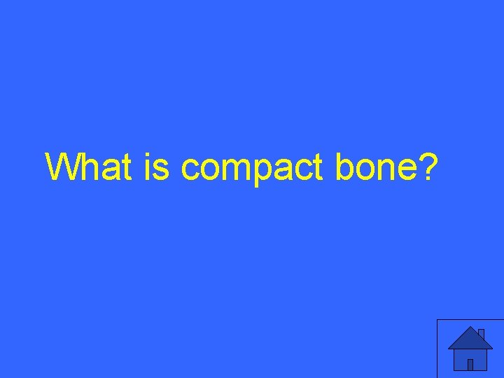 What is compact bone? 31 