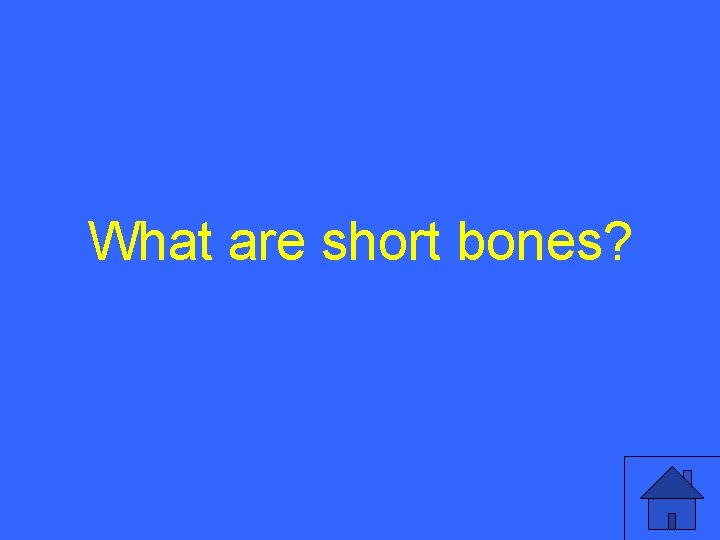 What are short bones? 4 
