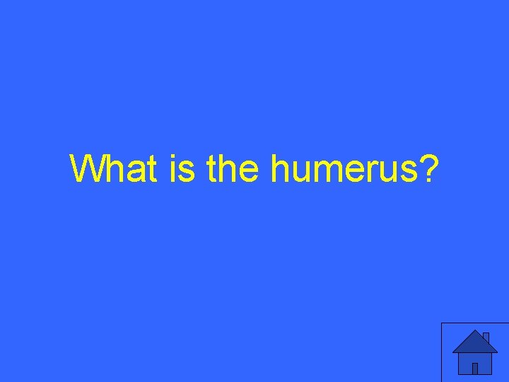 What is the humerus? 45 
