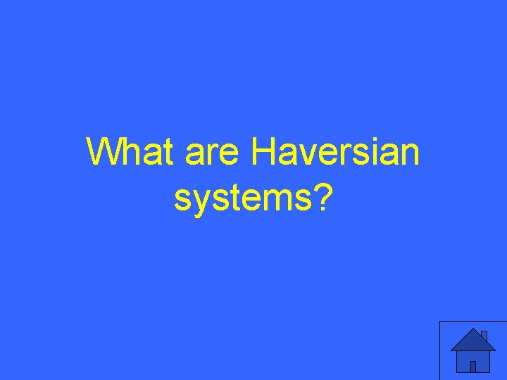 What are Haversian systems? 47 