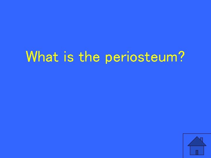 What is the periosteum? 59 