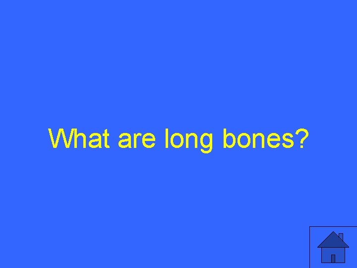 What are long bones? 6 
