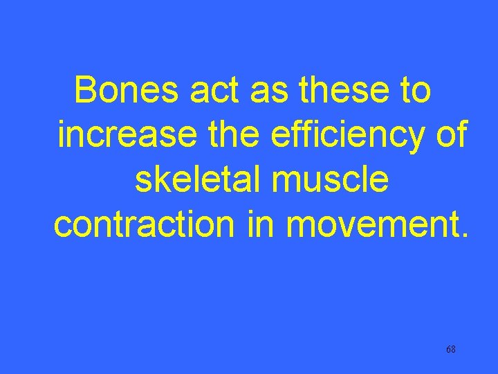 Bones act as these to increase the efficiency of skeletal muscle contraction in movement.