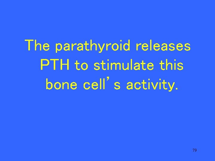 The parathyroid releases PTH to stimulate this bone cell’s activity. 79 
