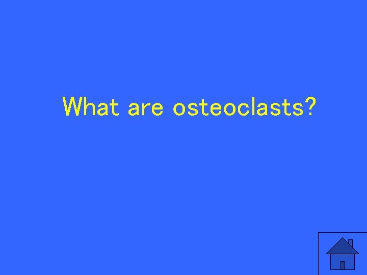 What are osteoclasts? 80 