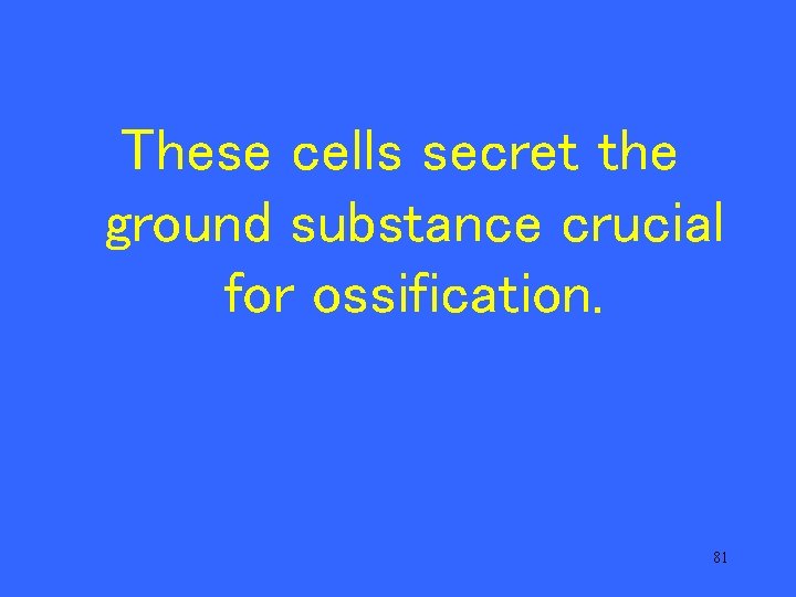 These cells secret the ground substance crucial for ossification. 81 