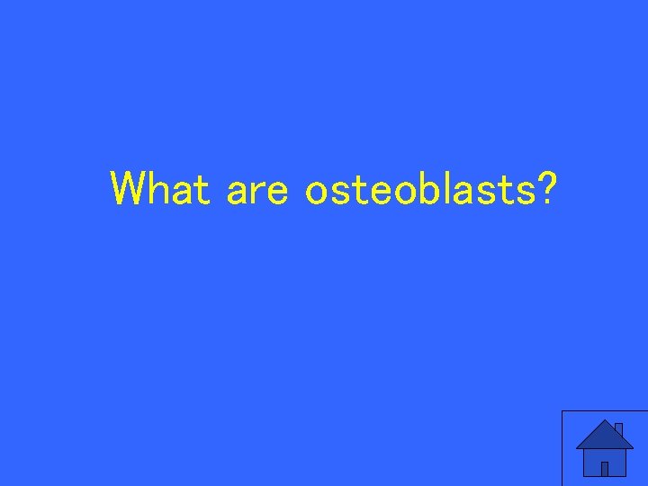 What are osteoblasts? 82 