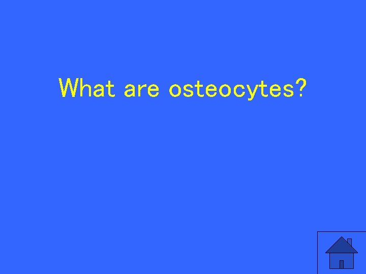 What are osteocytes? 84 