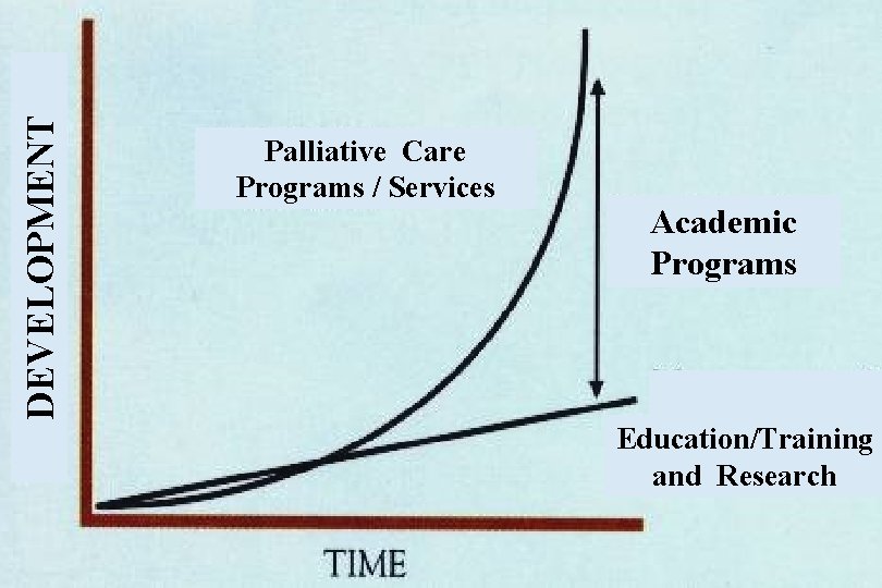 DEVELOPMENT Palliative Care Programs / Services Academic Programs Education/Training and Research 