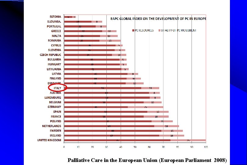 Palliative Care in the European Union (European Parliament 2008) 