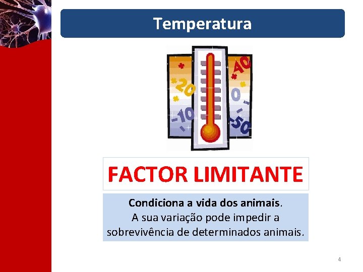 Temperatura FACTOR LIMITANTE Condiciona a vida dos animais. A sua variação pode impedir a