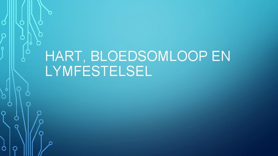 HART, BLOEDSOMLOOP EN LYMFESTELSEL 