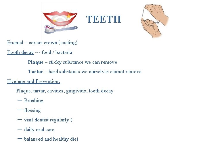 TEETH Enamel – covers crown (coating) Tooth decay --- food / bacteria Plaque – TEETH Enamel – covers crown (coating) Tooth decay --- food / bacteria Plaque –