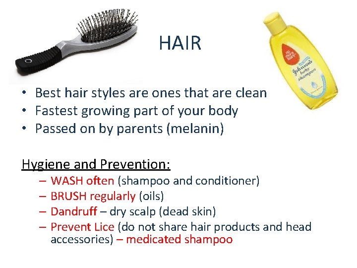 HAIR • Best hair styles are ones that are clean • Fastest growing part HAIR • Best hair styles are ones that are clean • Fastest growing part