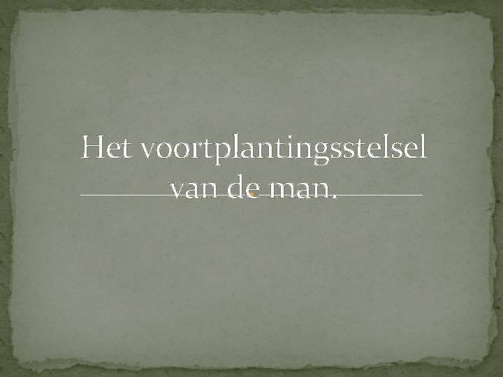 Het voortplantingsstelsel van de man. 