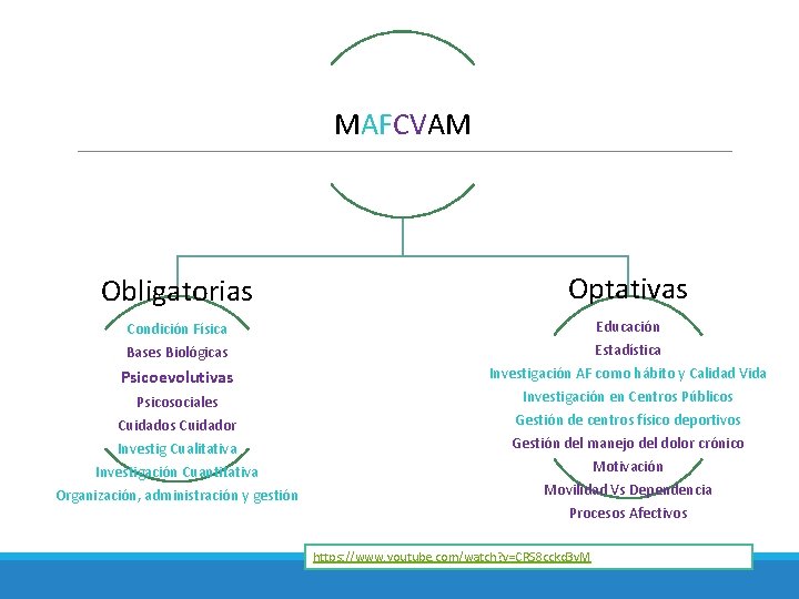 MAFCVAM Obligatorias Optativas Condición Física Bases Biológicas Educación Estadística Investigación AF como hábito y