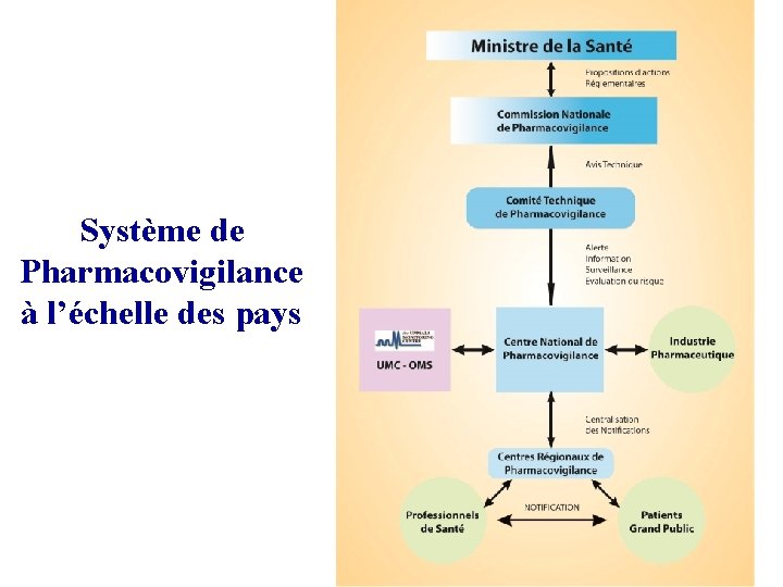 Système de Pharmacovigilance à l’échelle des pays 