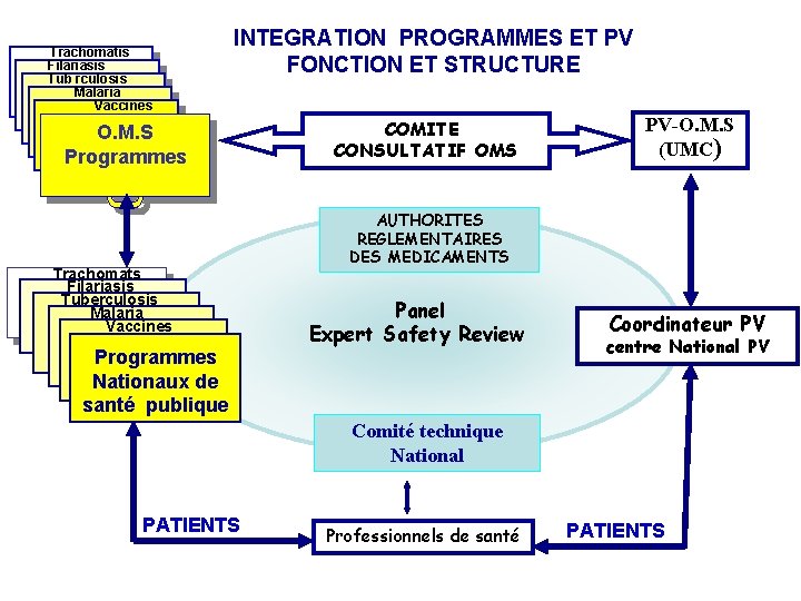 Trachomatis Filariasis Tub rculosis Malaria Vaccines INTEGRATION PROGRAMMES ET PV FONCTION ET STRUCTURE O.