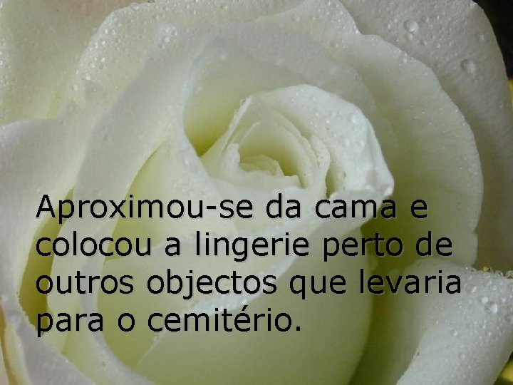 Aproximou-se da cama e colocou a lingerie perto de outros objectos que levaria para