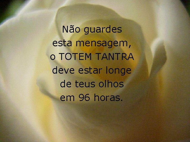 Não guardes esta mensagem, o TOTEM TANTRA deve estar longe de teus olhos em