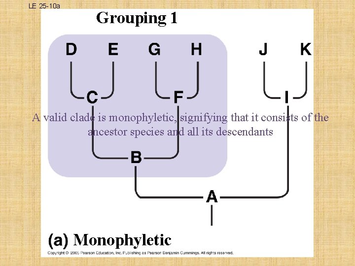 LE 25 -10 a Grouping 1 A valid clade is monophyletic, signifying that it